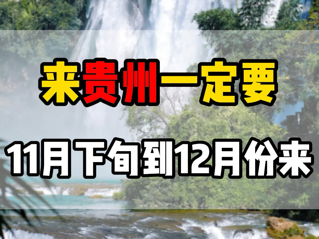 为什么来贵州玩,一定要选择11月下旬到12月份?因为每年的12月底到次年的2月是黄果树瀑布的枯水期!这个时候黄果树除了坑还是坑,现在来贵州一年中...