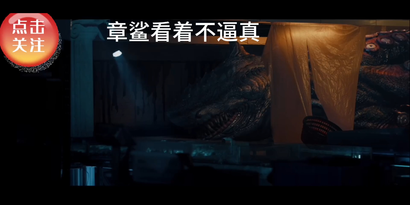 鲨鱼vs章鱼:生存还是毁灭?恐怖可爱无脑版!