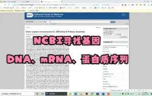 【干货】如何使用NCBI寻找基因DNA、mRNA及蛋白质序列【瞎说的】