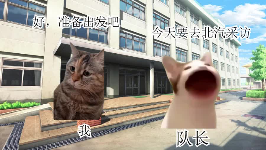 第五集 #北京科技大学青菁实践团 #暑期社会实践 #猫meme #整活哔哩哔哩bilibili