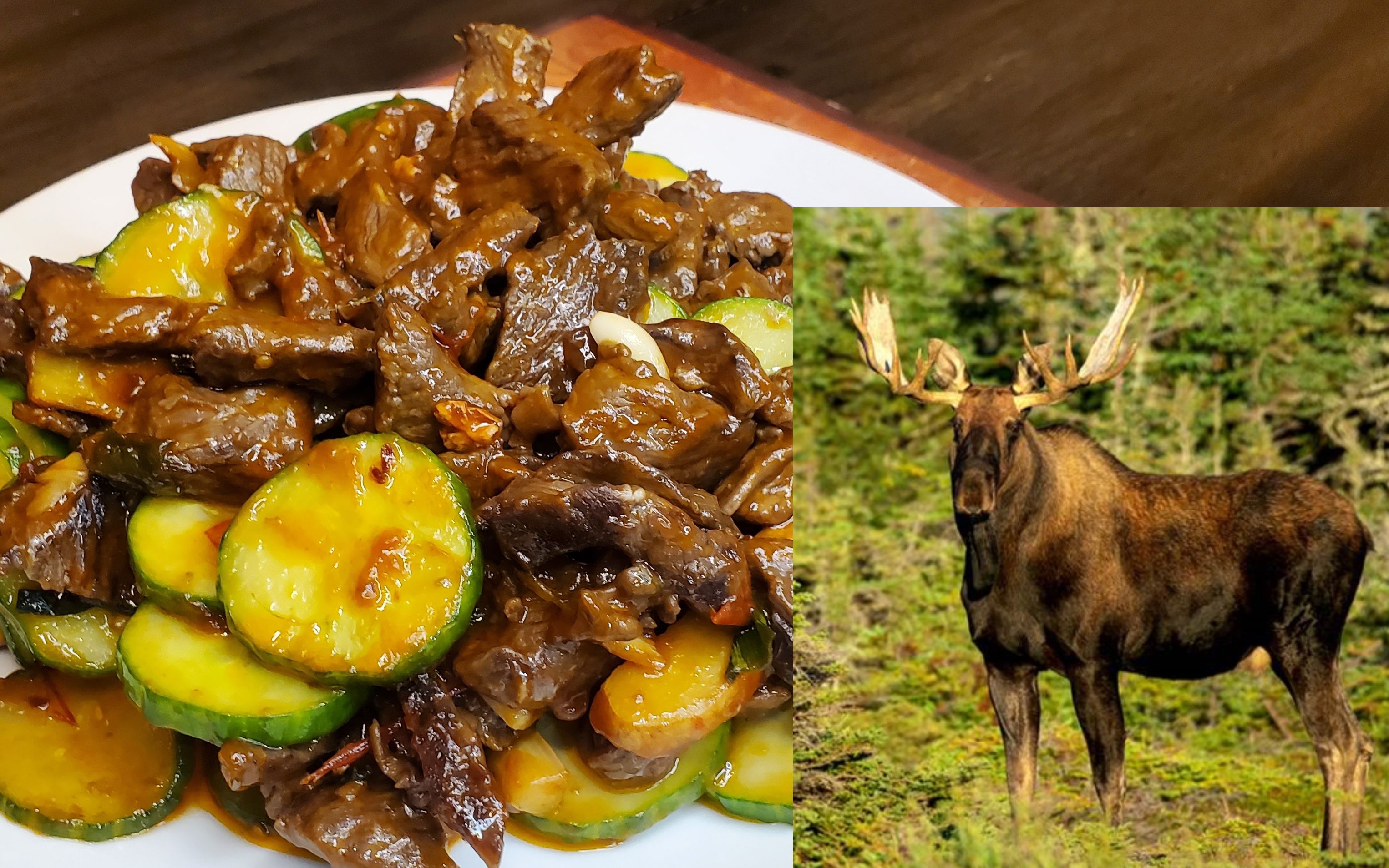 纽芬兰懒人厨房,回锅驼鹿肉