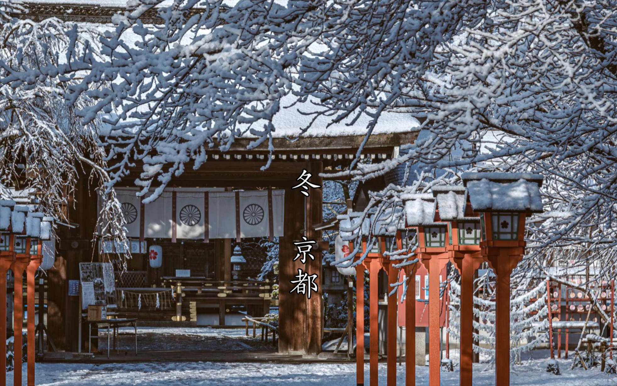 [图]「京都的雪」好景不会每日常在，窗花不会幽禁落霞。