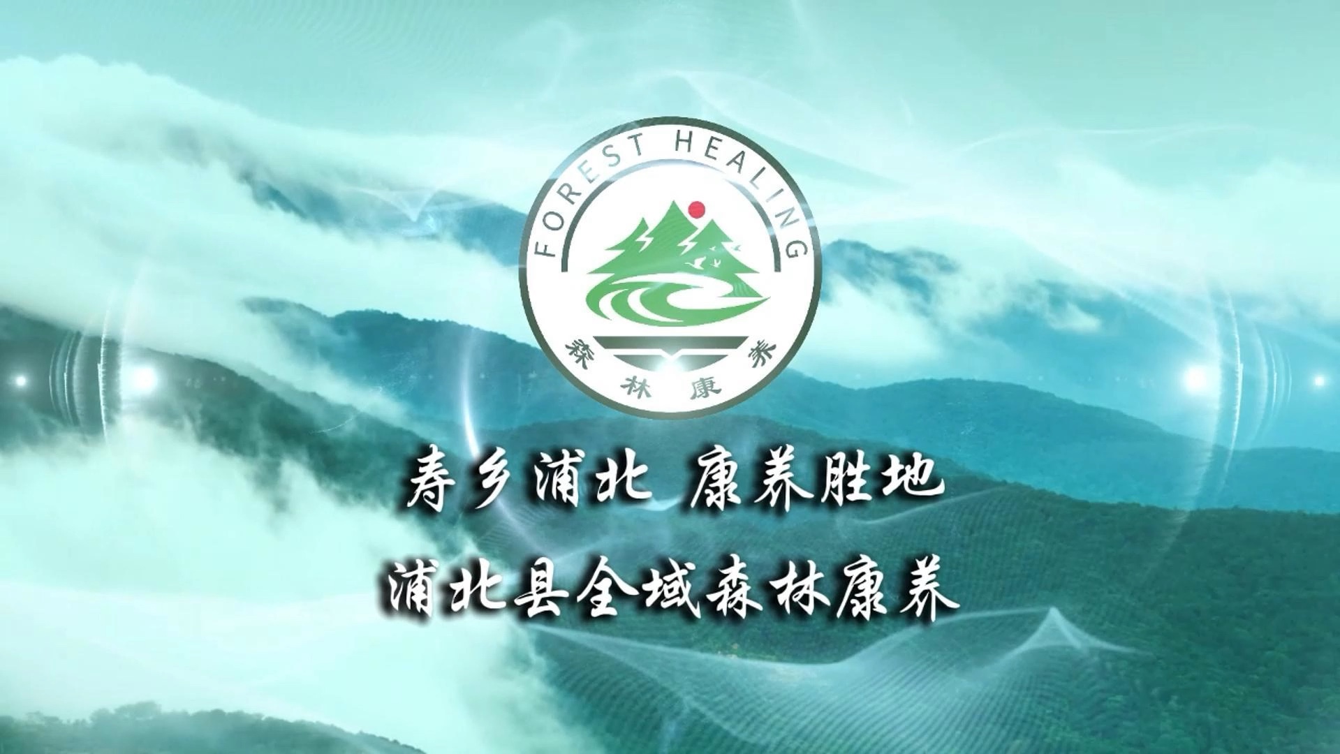 广西森林康养产业招商引资暨招客引流推介会主题推介!