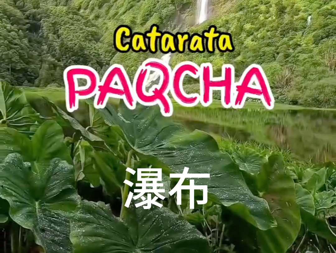 一起来学克丘亚语单词