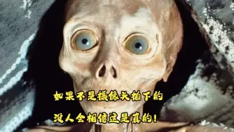 如果不是摄像头拍下的，没人会相信这是真的！