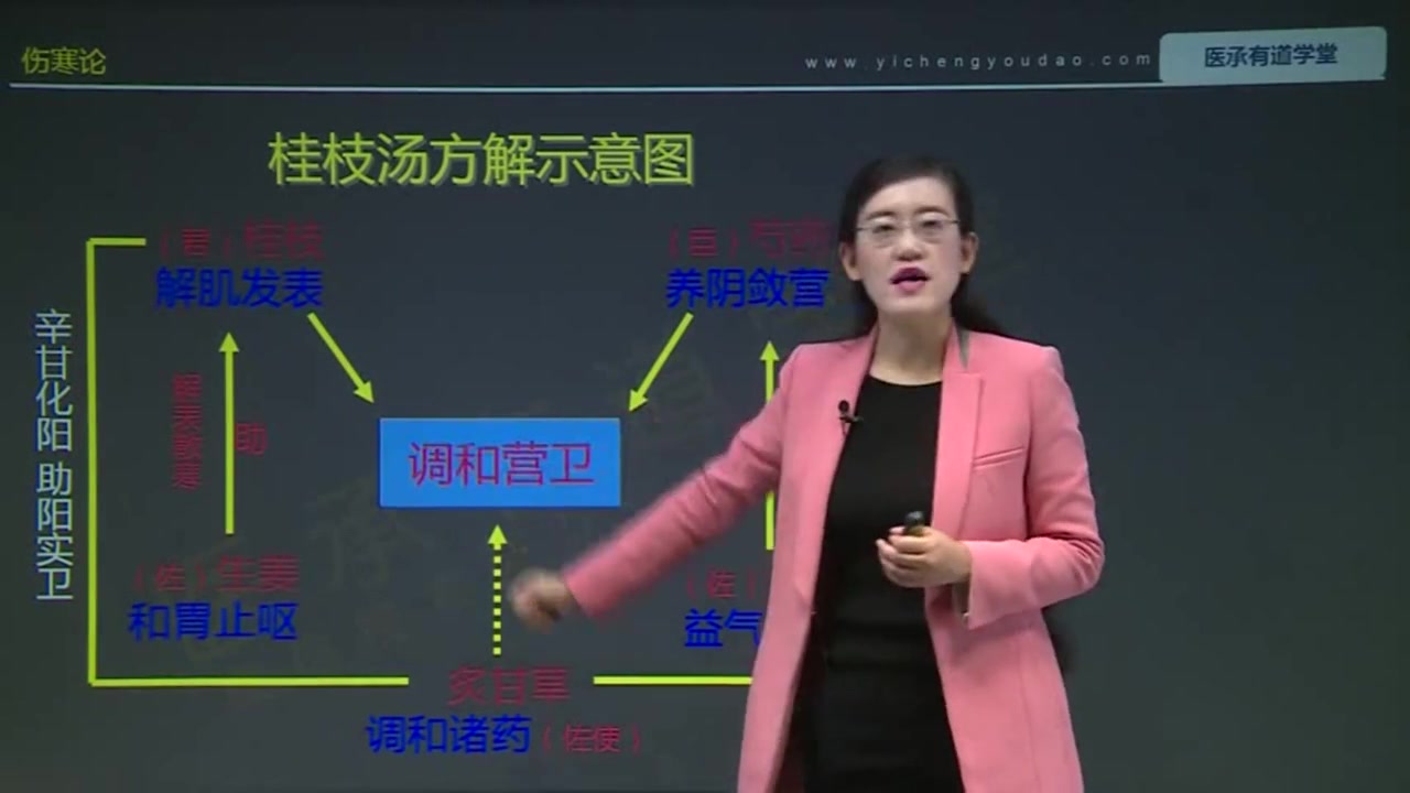 [图]伤寒论中医全系列课程