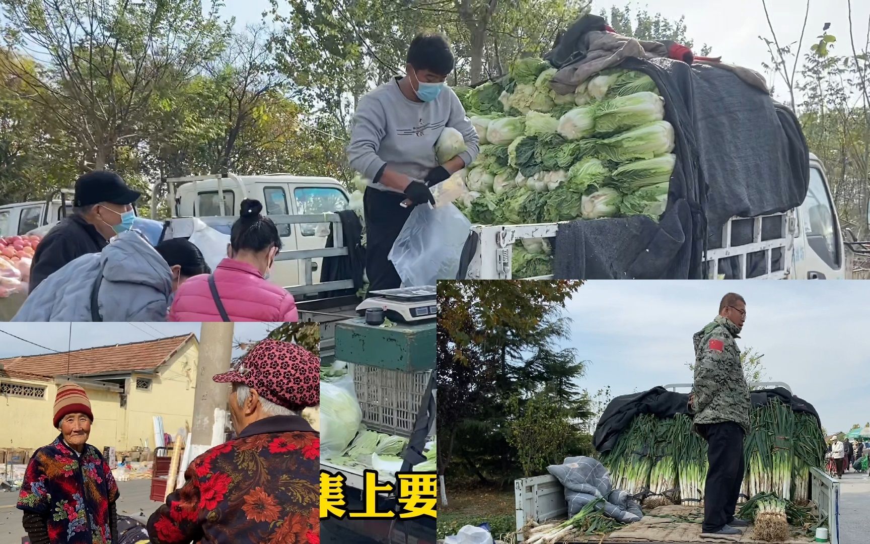 山东潍坊大集各种蔬菜大跌价,白菜4毛甘蓝5毛,大葱、菜花都便宜哔哩哔哩bilibili