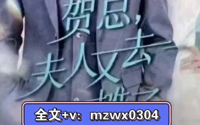 [图]热门短剧推荐—《贺总夫人又去摆摊了》