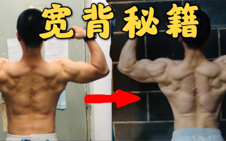 你的背怎么练都不宽?这8个高效练背动作,你一定要尝试!【背部系列03】_哔哩哔哩_bilibili