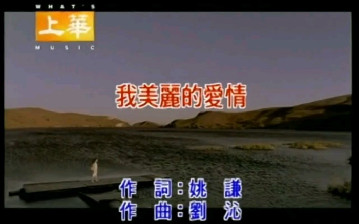 [图]【KTV】许慧欣 - 我美丽的爱情 (2003) KTV字幕版