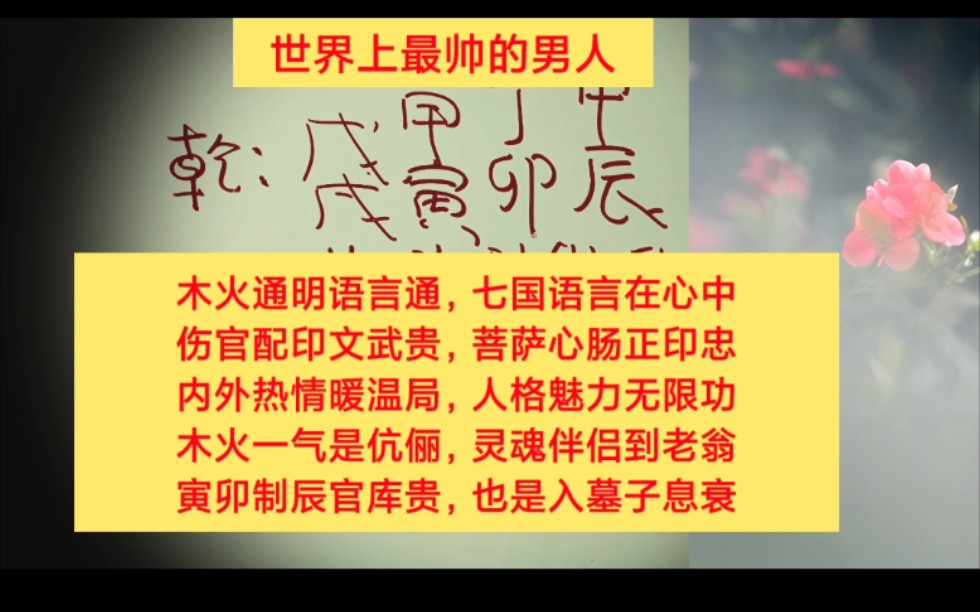 木火通明寅卯辰,官库贵气透年伤官配印,文武大贵格.哔哩哔哩bilibili