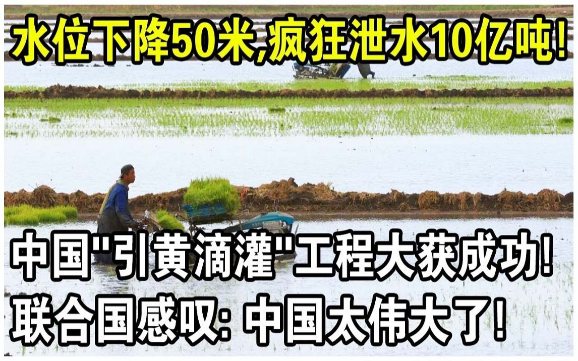 水位下降50米,疯狂泄水10亿吨!中国“引黄滴灌”工程大获成功! 1100万亩荒地变粮仓!哔哩哔哩bilibili