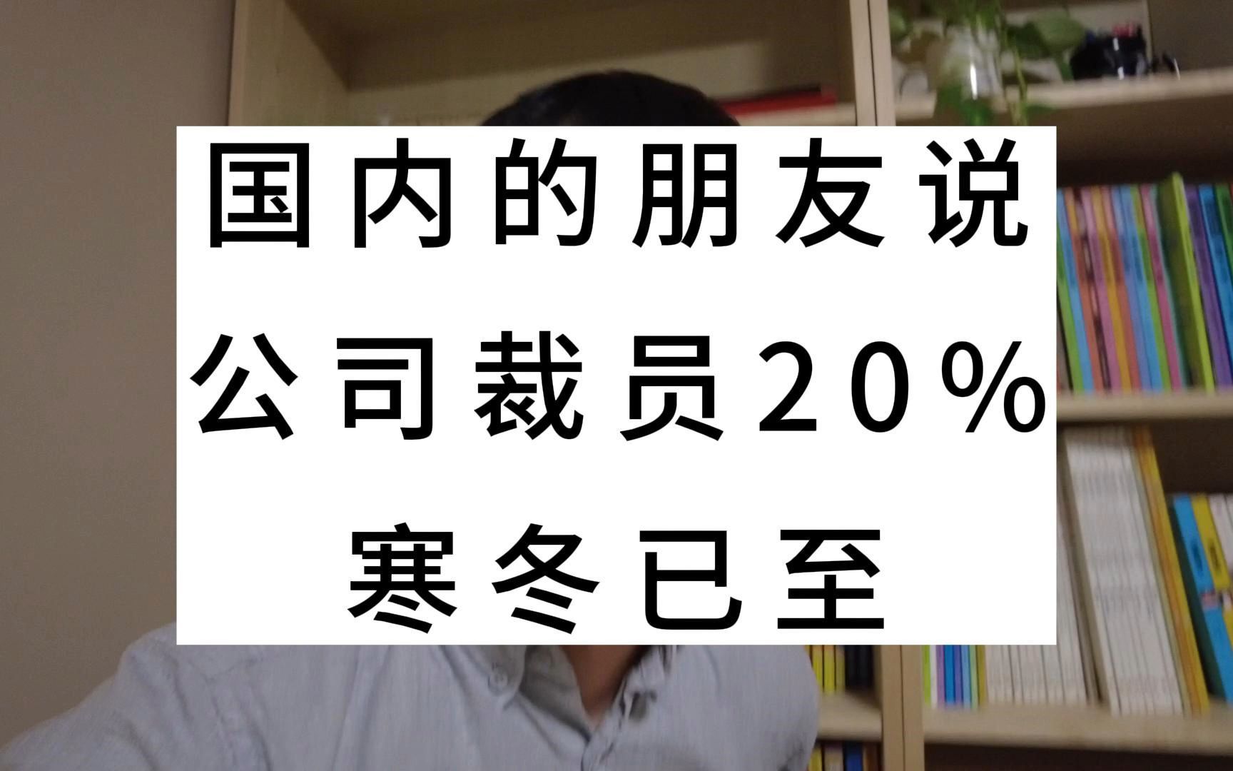 国内的朋友说,公司裁员20%,寒冬已至哔哩哔哩bilibili