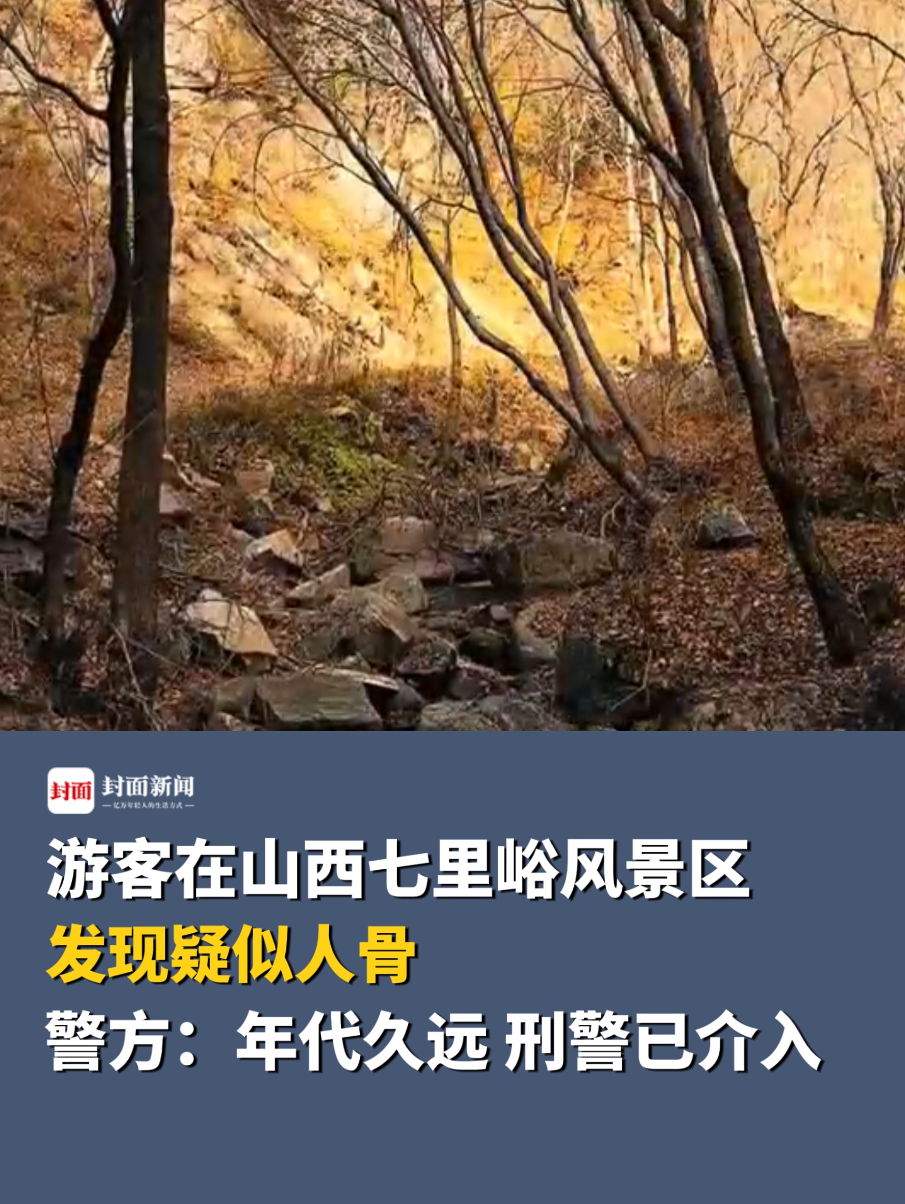 游客山西七里峪风景区发现疑似人骨,警方:年代久远,刑警已介入哔哩哔哩bilibili