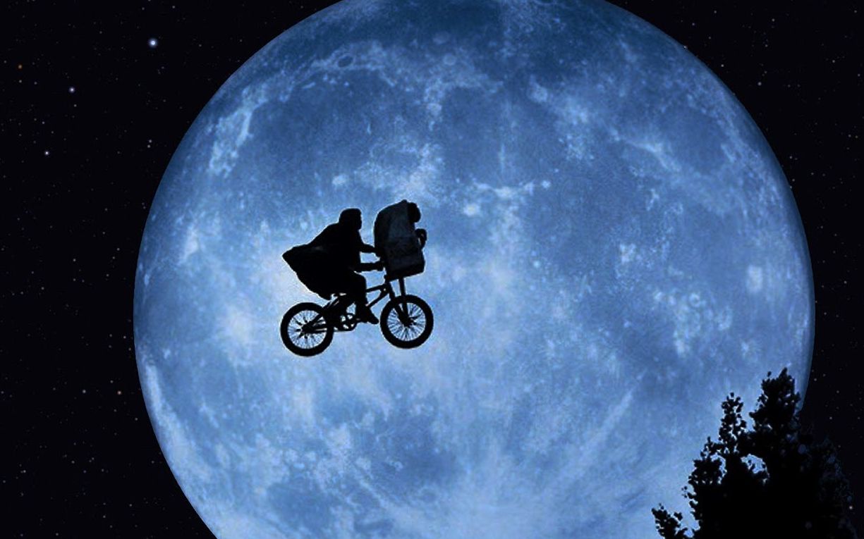 高飞自由的象征thefreedomofflight