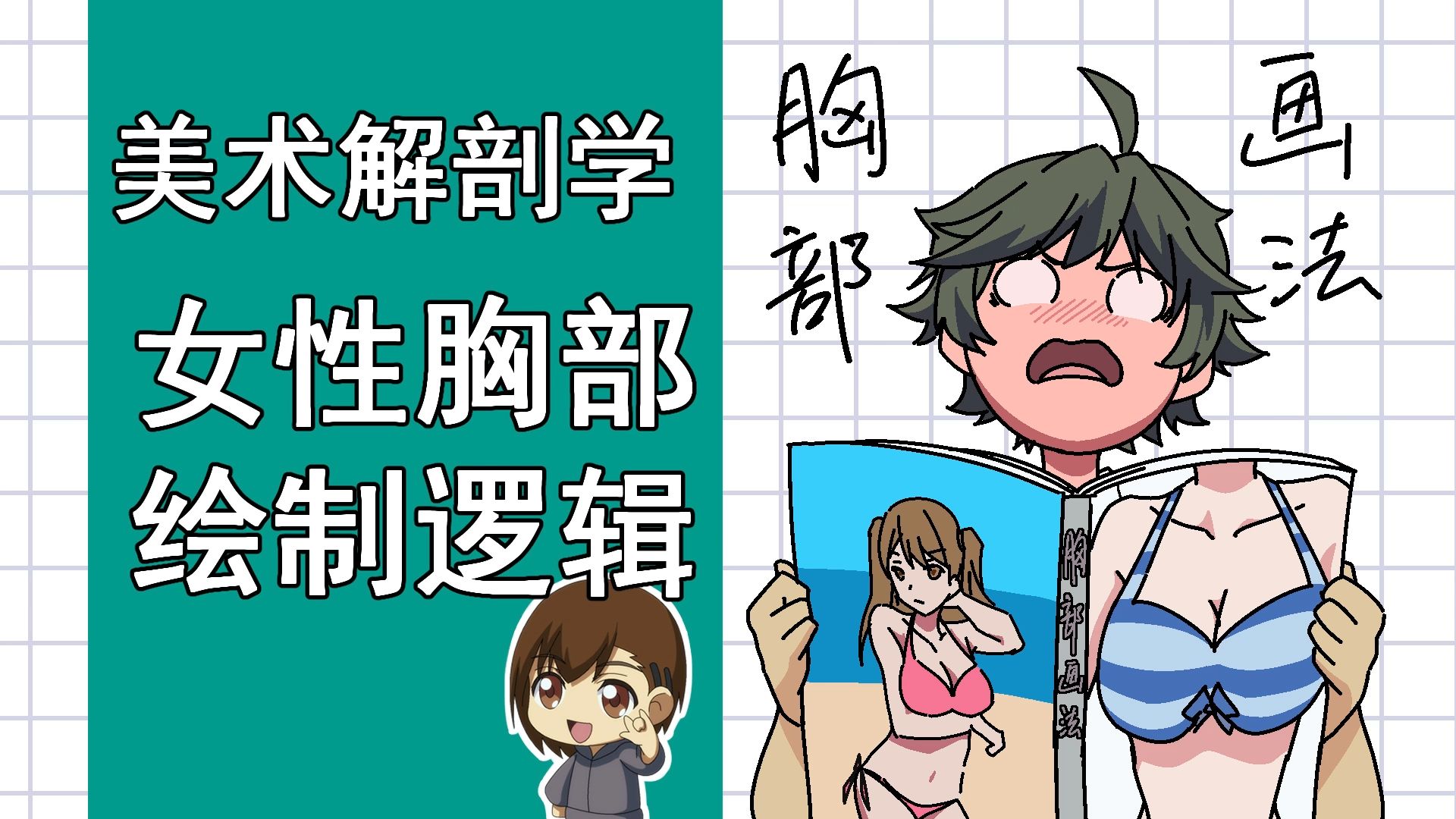 美术解剖学-59-女性胸部绘制逻辑