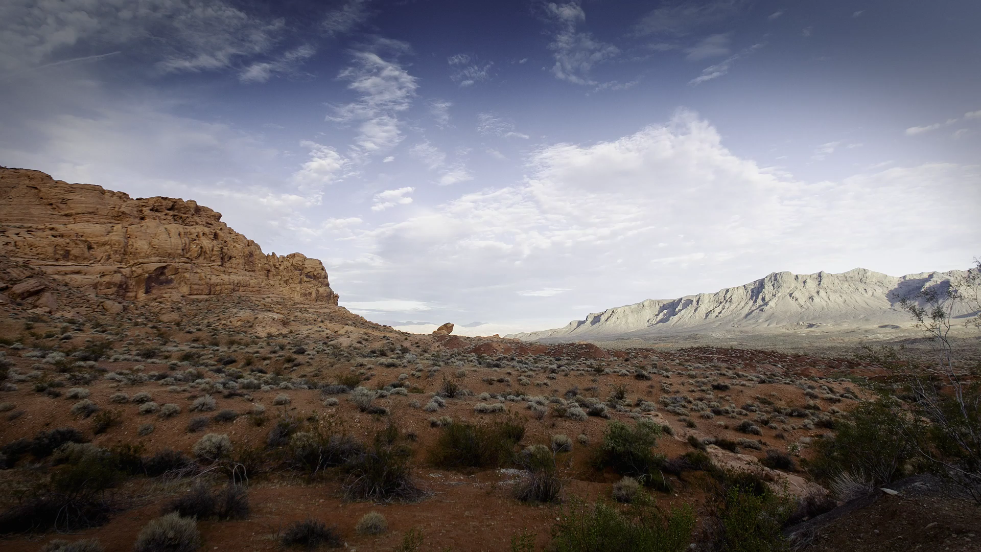 oppoa11原视频风景oppo手