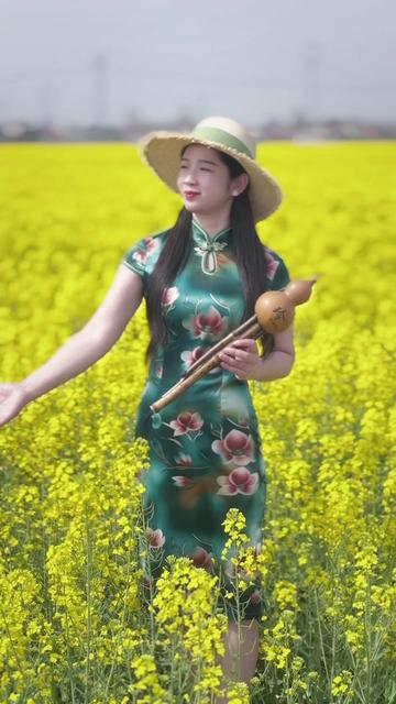 旗袍美女乡村油菜花地用七孔傣味g调葫芦丝演奏一曲《姑娘生来爱唱歌