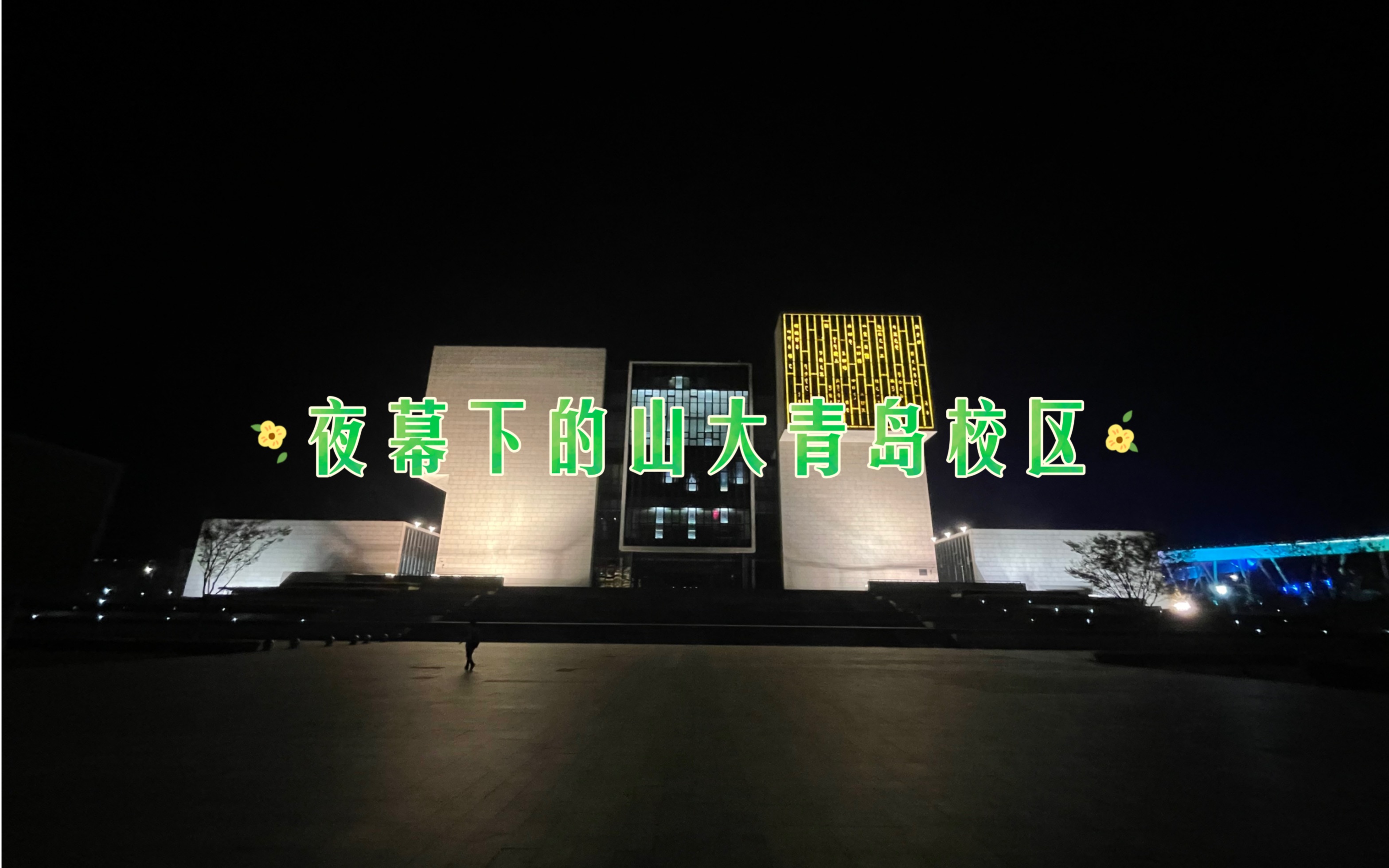 夜幕下的山东大学青岛校区哔哩哔哩bilibili