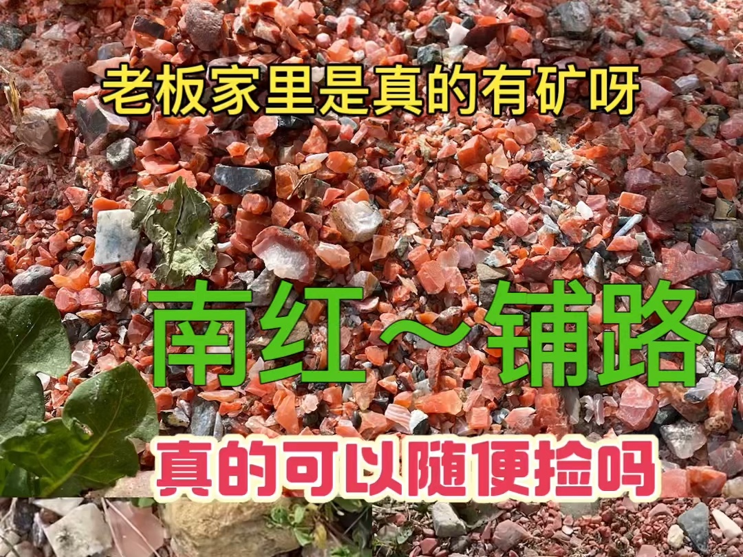 [图]作为玉雕工作室的我们，经常往卖料老板的家里跑，也是经常看到老板们用南红料子铺路，铺花台，铺花盆。真的是家里有矿呀…