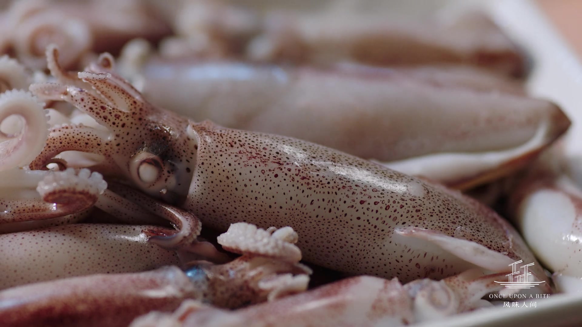 风味人间第五集白灼小管