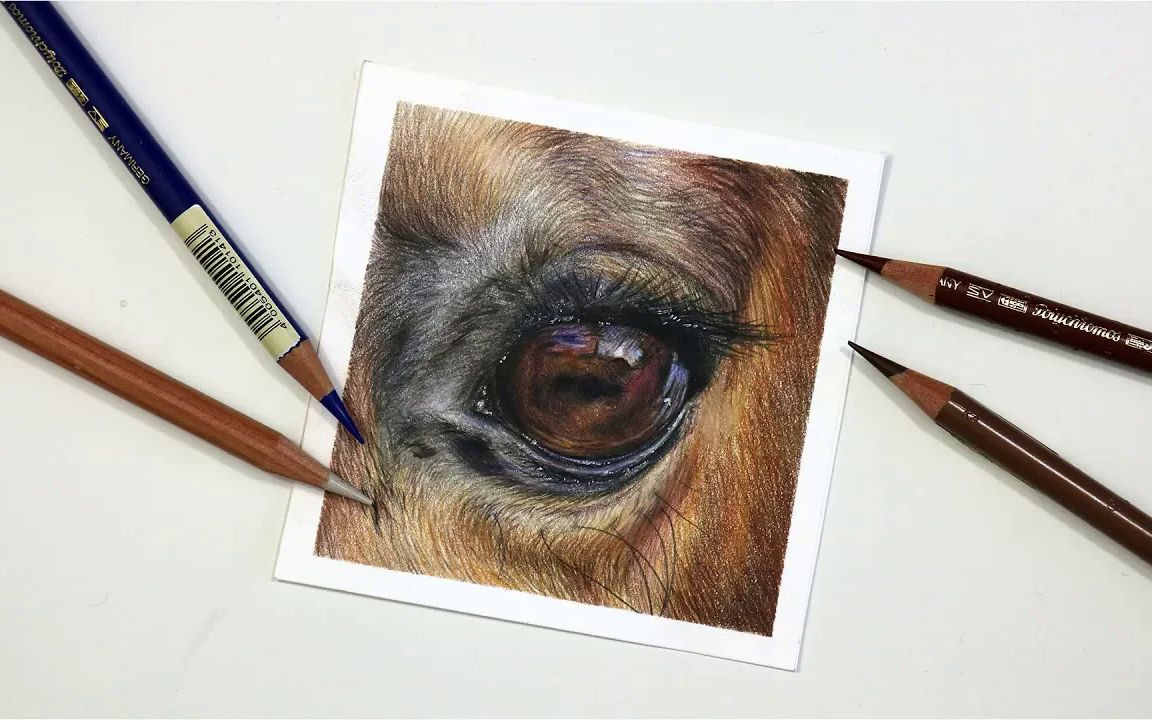 【amie howard art】03_如何用彩铅画马眼