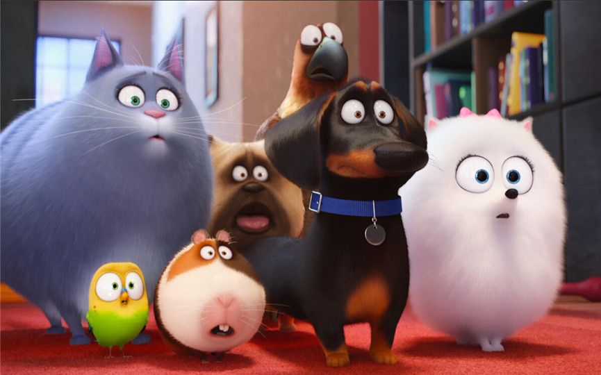 【tnabo】《爱宠大机密》剧情特辑