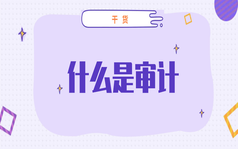 什么是审计?哔哩哔哩bilibili