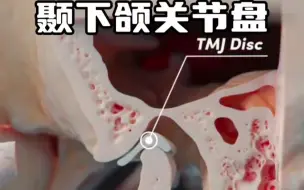 Tải video: 颞下颌关节运动过程