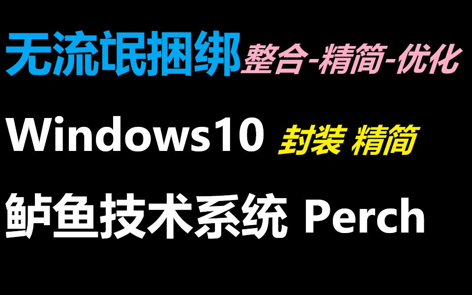 鲈鱼技术系统精简版 V4整合精简优化 无流氓捆绑封装Win10系统 PerchLite哔哩哔哩bilibili