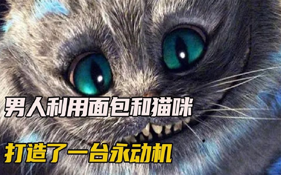 男人利用猫咪和一块面包竟然打造了永动机