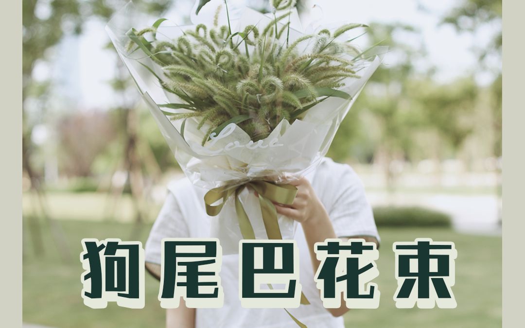 你知道狗尾巴草的花语吗?哔哩哔哩bilibili