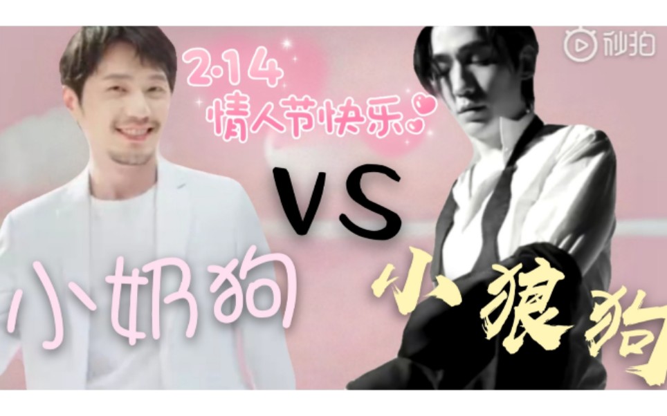 朱一龙白宇朱白rps向情人节要小奶狗还是小狼狗我的cp必须甜