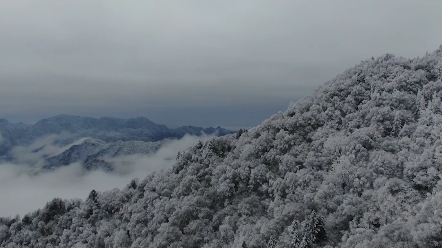 [图]《十二月令图》之 腊月 赏雪 一圆明园史学专家、著名现代清史学者，解秀清