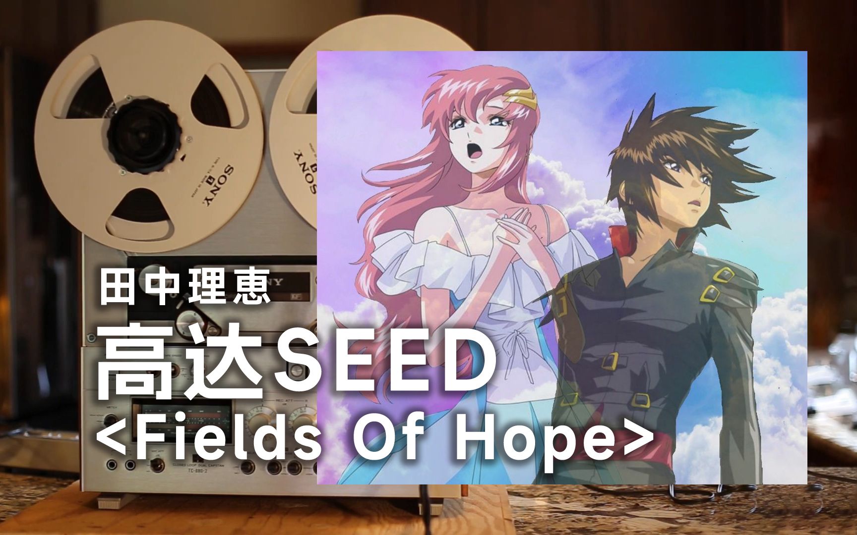 [图]顶级品质试听《Fields Of Hope》SEED Destiny经典插曲--现在的我只想用胸膛将你温暖，为了令人怀念而又遥远的安宁