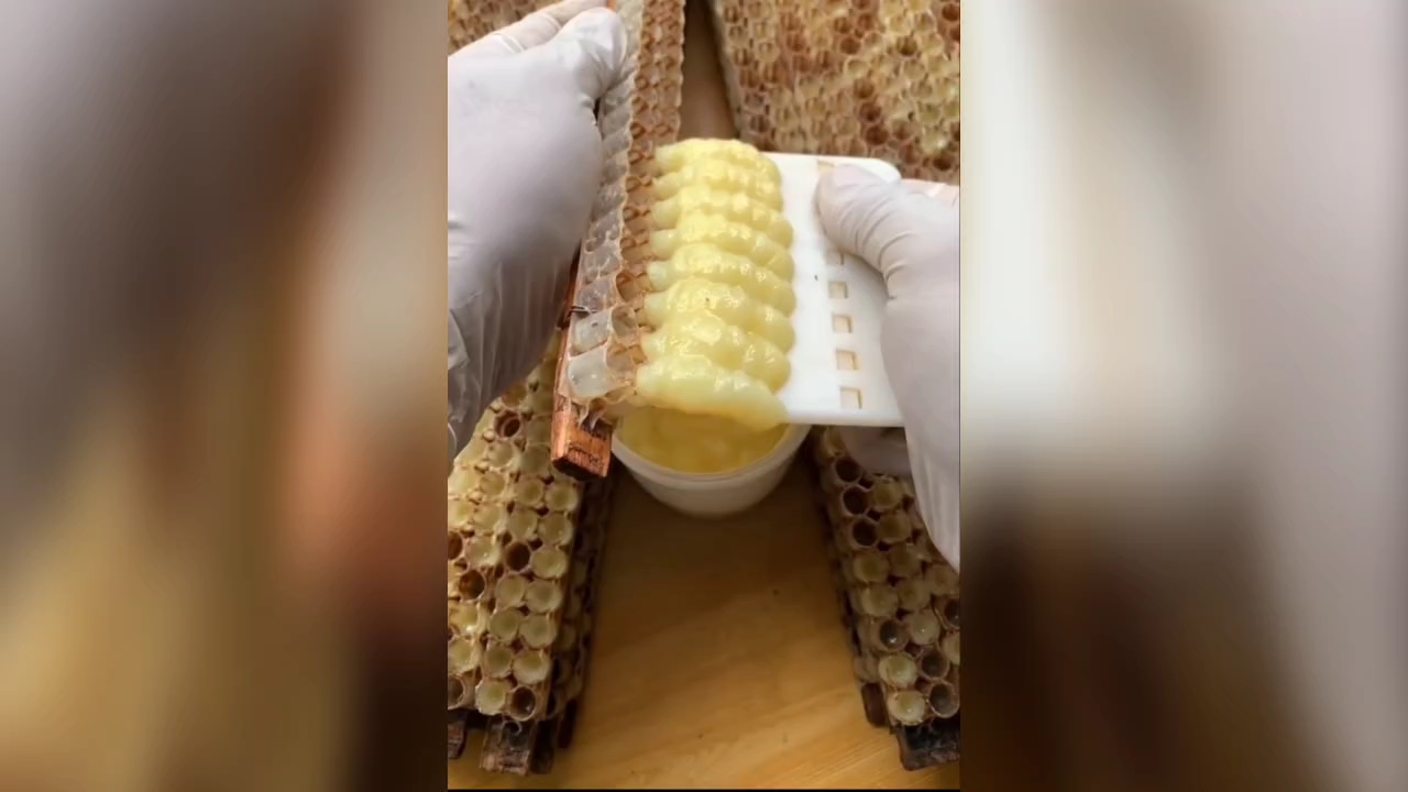 解压取蜂王浆