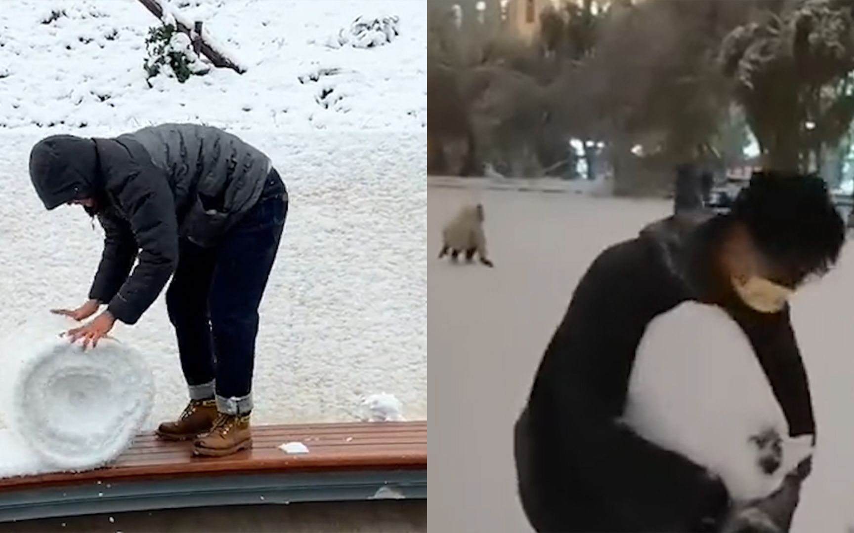 [图]东北强降雪下到发紫！喜提东北特产雪卷，南方室友雪地里放飞自我