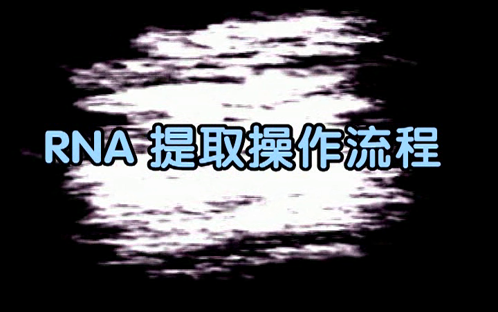 RNA 提取操作流程哔哩哔哩bilibili