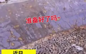 Download Video: 男子和老婆准备打雪仗，看到老婆的雪球 男子傻眼，网友：多少带点私人恩怨！