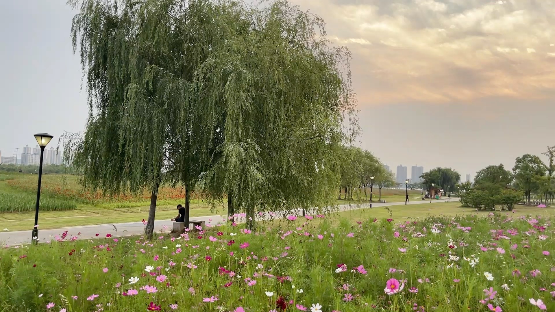 铜陵西湖城市湿地公园