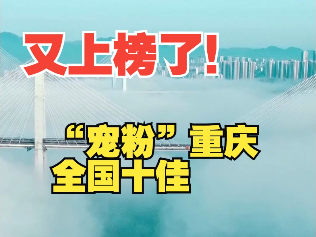 你见过这么“宠粉”的城市吗?重庆入选2023年全国游客满意度十佳城市哔哩哔哩bilibili