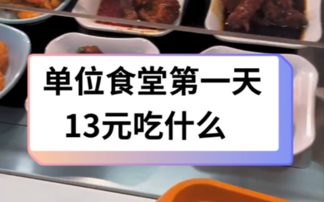 男大学生来单位食堂的第一天哔哩哔哩bilibili