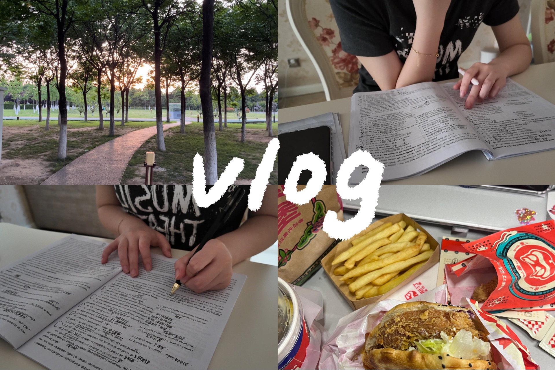 Study Vlog|追星物料|公园效应|无限学英语~哔哩哔哩bilibili