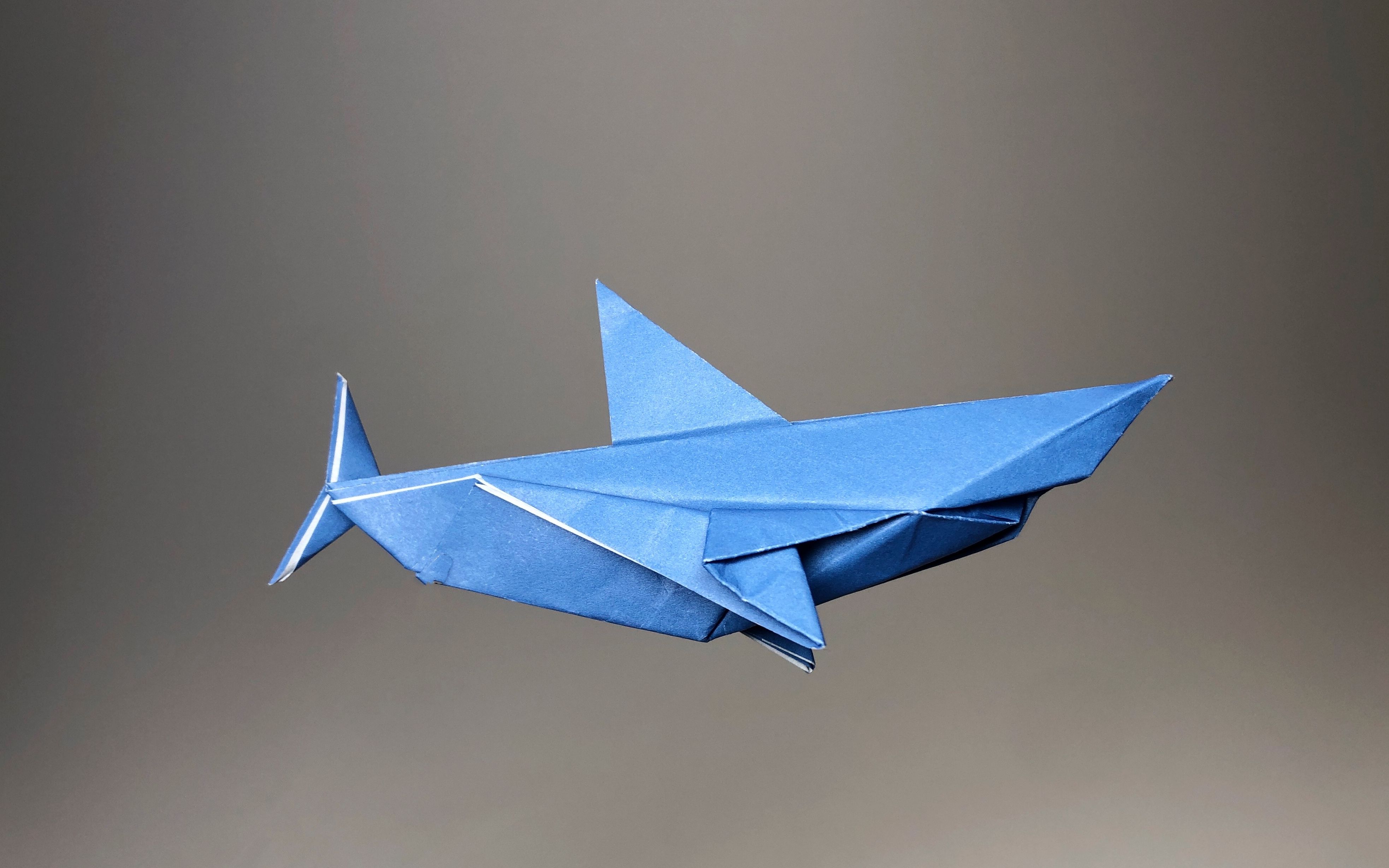 折纸巨齿鲨简单折纸图片