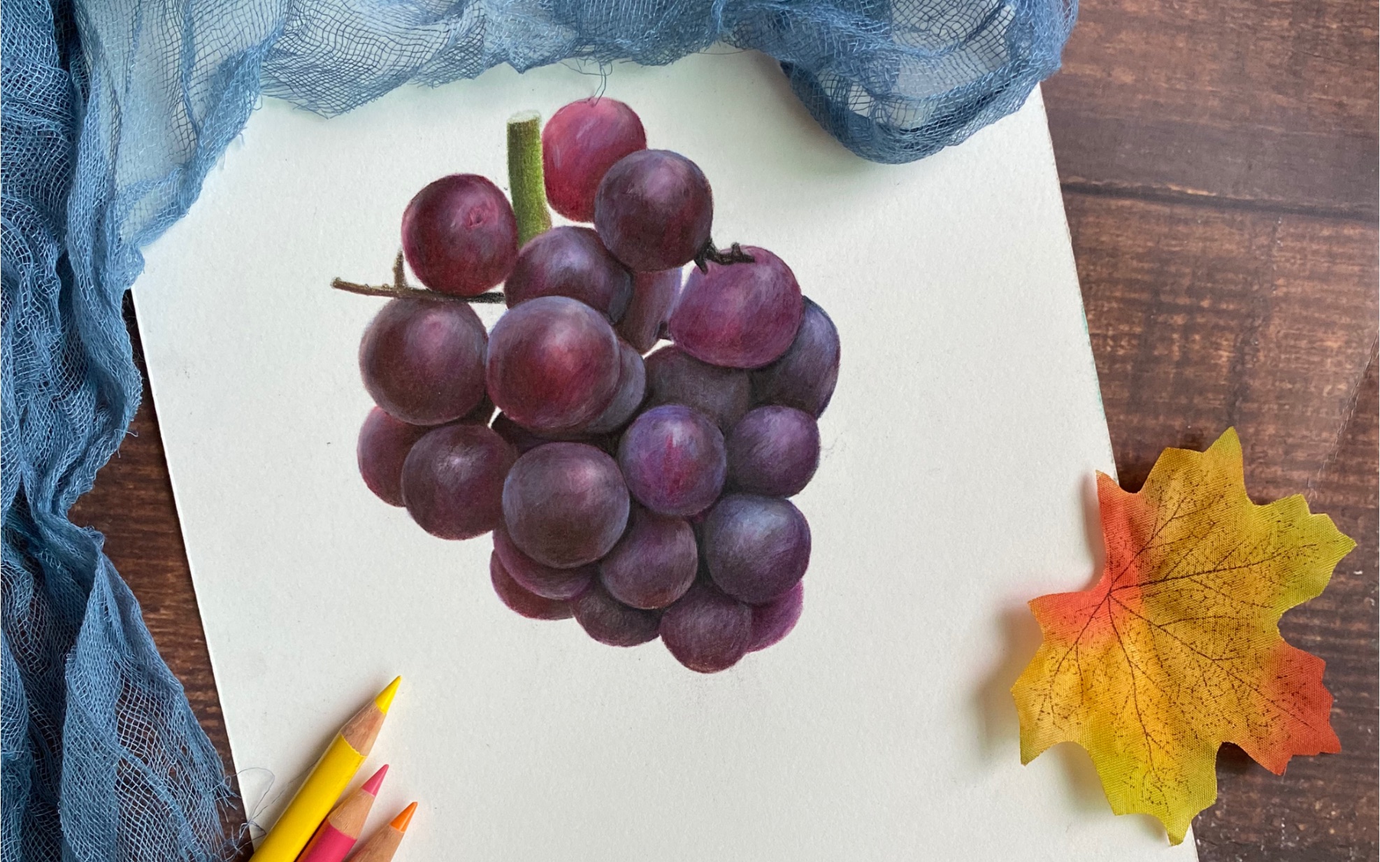 超写实葡萄彩铅画法