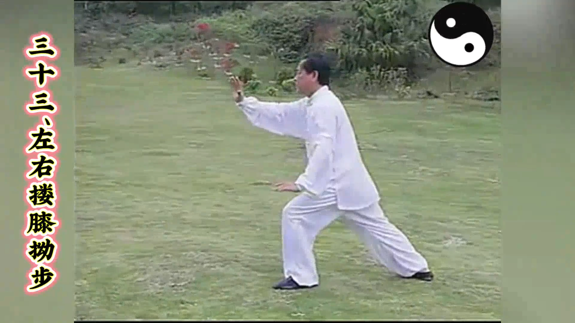 杨氏太极拳85式分解教学【赵幼斌】