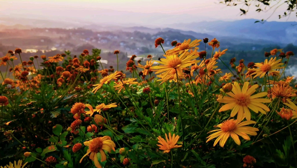 日落-延时摄影-华为mate40pro前半段-p40pro后半段-徕卡鲜艳