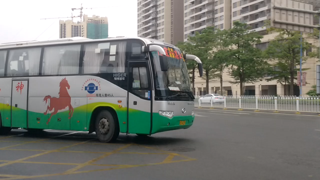 湛江到信宜海格汽车出湛江麻章车站