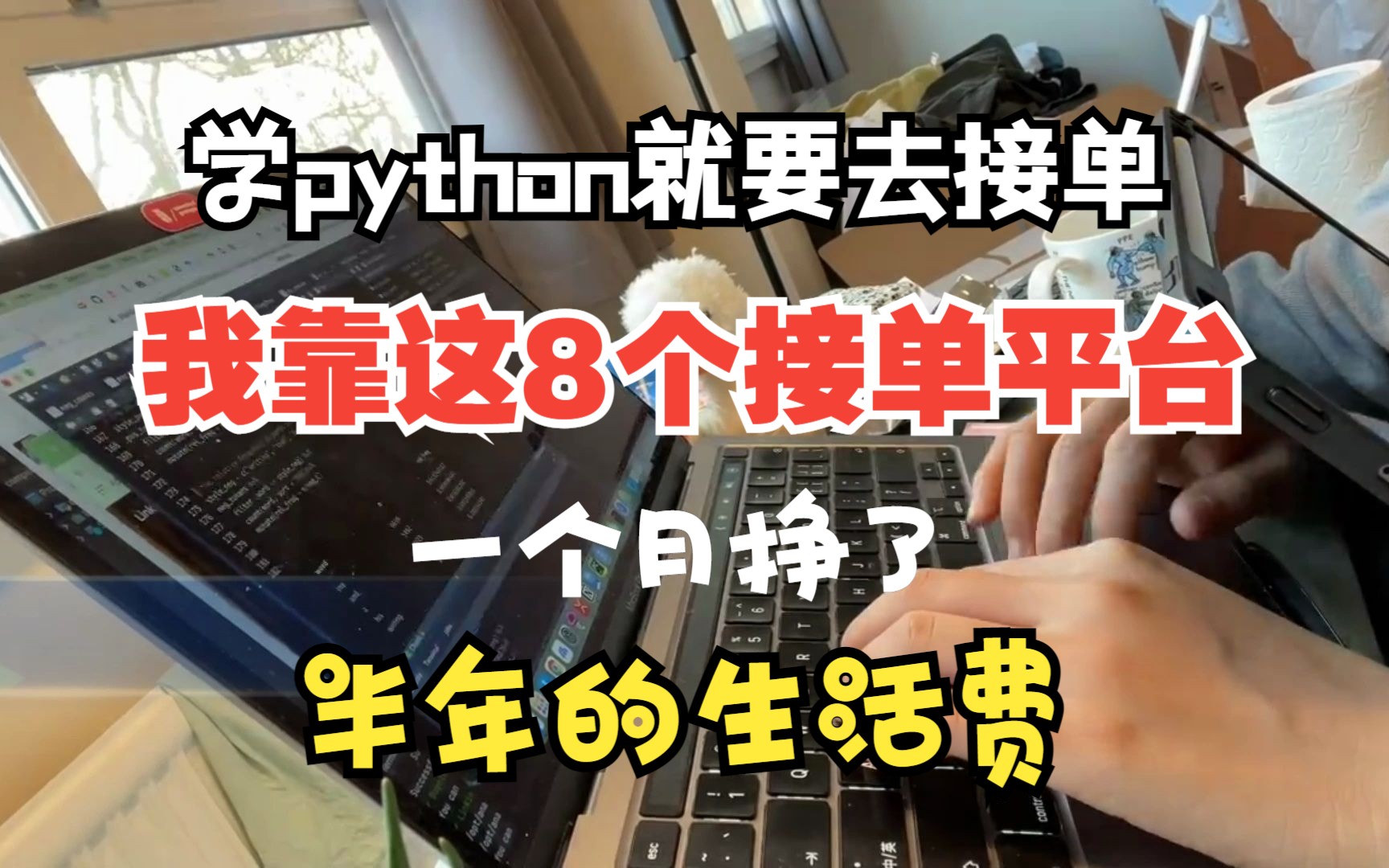 学Python不去接单可惜了,有这8个接单平台,放假在家就能赚钱!哔哩哔哩bilibili