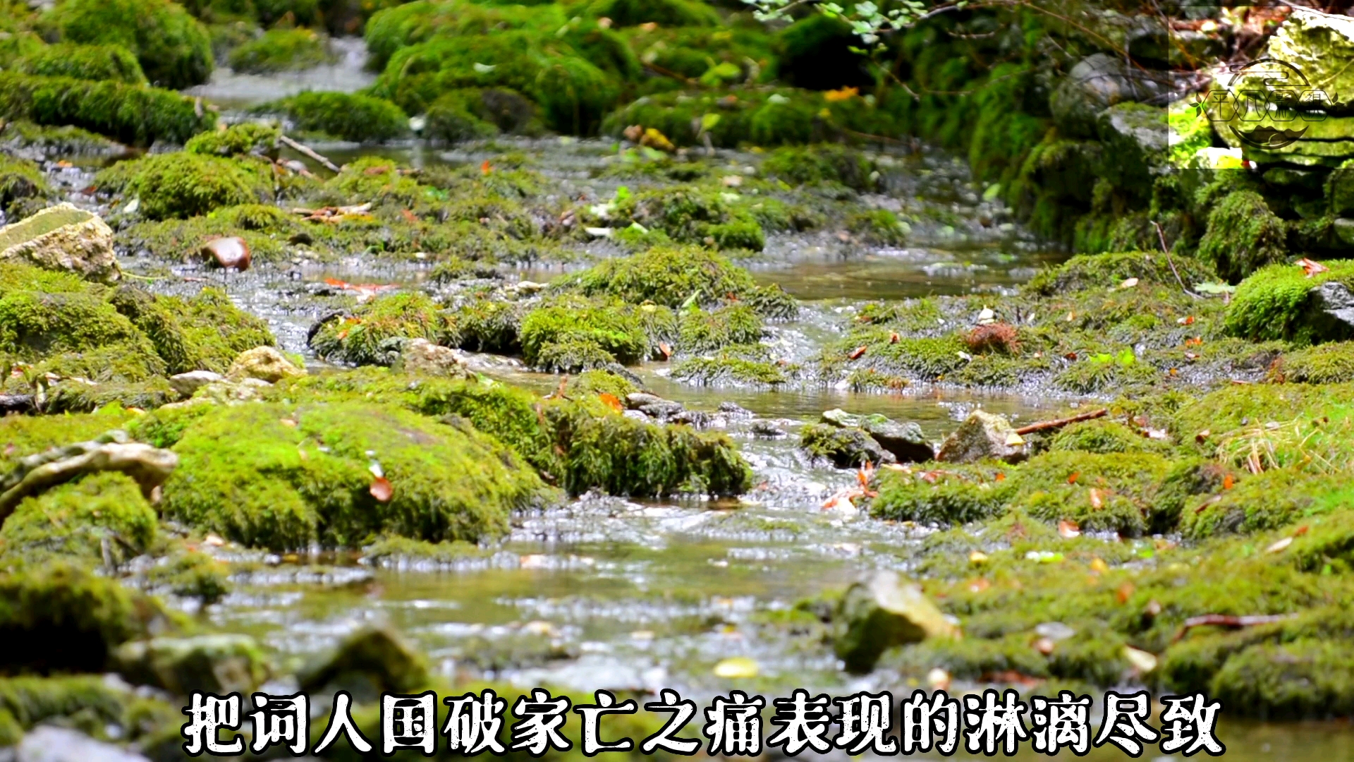 [图]浪淘沙•帘外雨潺潺